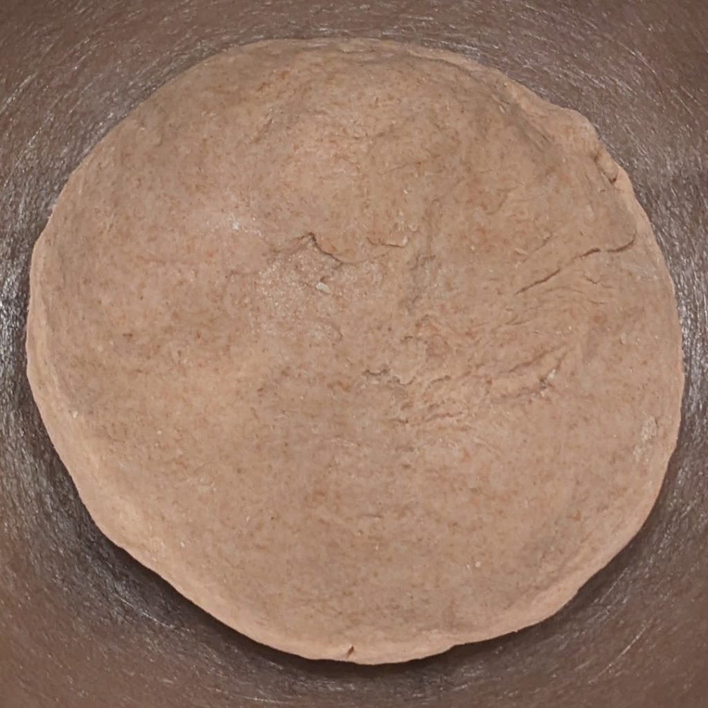 Naan dough